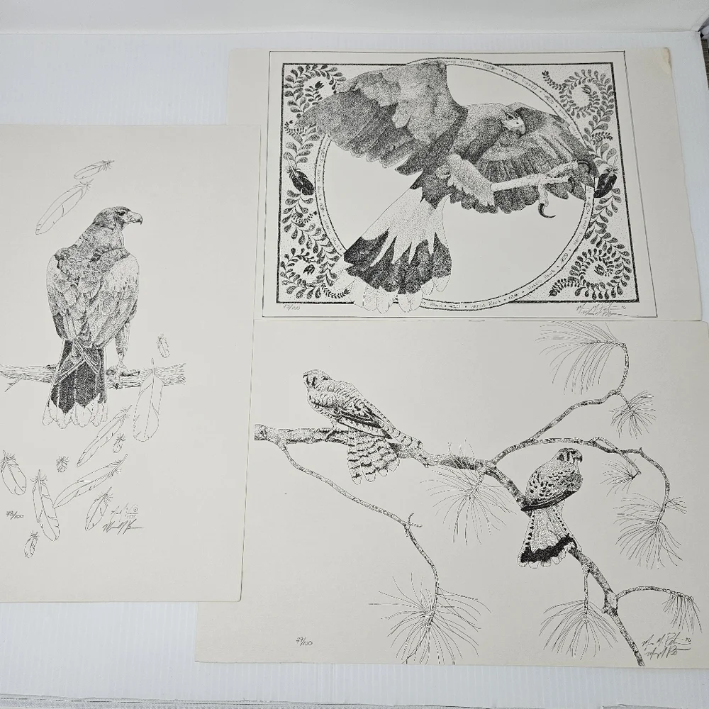 Harris Hawk Bird Art Prints Numbered & Artist Signed Wildlife Set Of 3